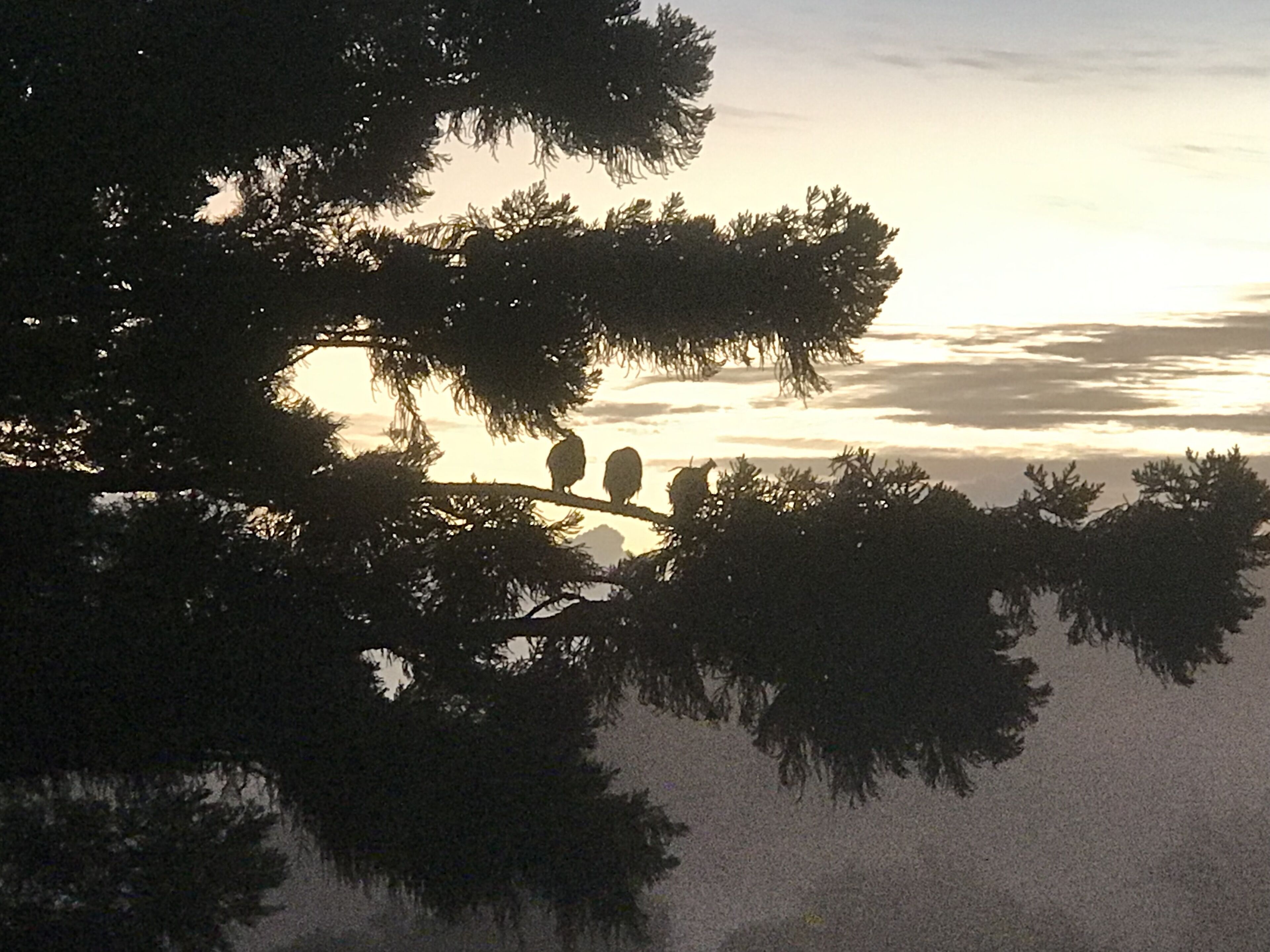 Luxury Hinterland Escape