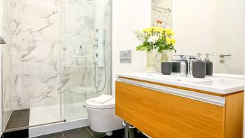 Shower, hair dryer, towels