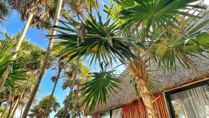 A beach hut with a thatched roof, surrounded by palm trees and overlooking the ocean. - Beautiful cottage in front of the sea. Tulum. (Tulum)