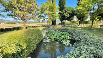 Parco della struttura