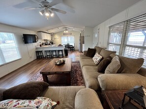 Smart TV, streaming services