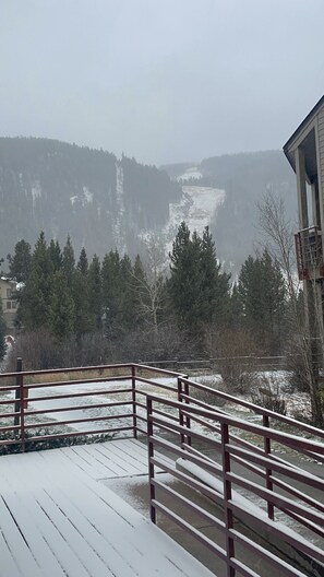 Property grounds - Cozy and Spacious Ski In/Out Family- sized Condo- 5 minute walk to Ski Lift!! (Dillon)