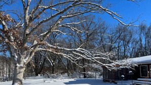 Property grounds - River Retreat in Mid-Modern Home in Park Setting (Iowa Falls)