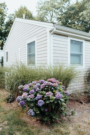 Property grounds - Modern Cape Cod Cottage Close to Everything - outdoor shower! (Eastham)
