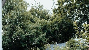 Une terrasse en bois avec un barbecue, des marches menant à un espace abrité et une clôture en bois.