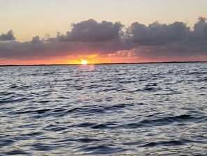 Beach nearby - Cozy & Private Home at US Coral Reef Capital (Key Largo)