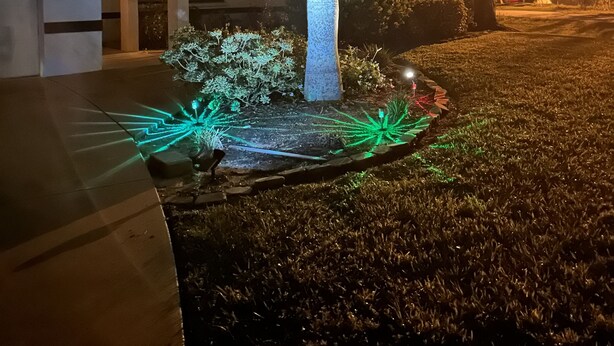 Una palmera bien iluminada en un área ajardinada con una casa al fondo.