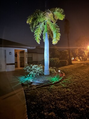 A well-lit palm tree in a landscaped area with a house in the background. - Serene Oasis (Port Charlotte)