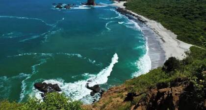 with 360 degree view of national park beach and forest