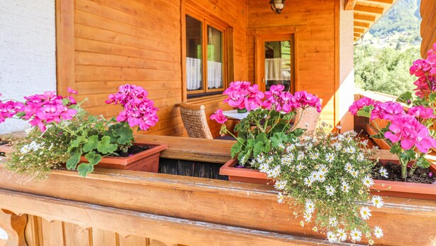 A wooden porch with potted geraniums and daisies. - gemuetliche Ferienwohnung (Dalaas)