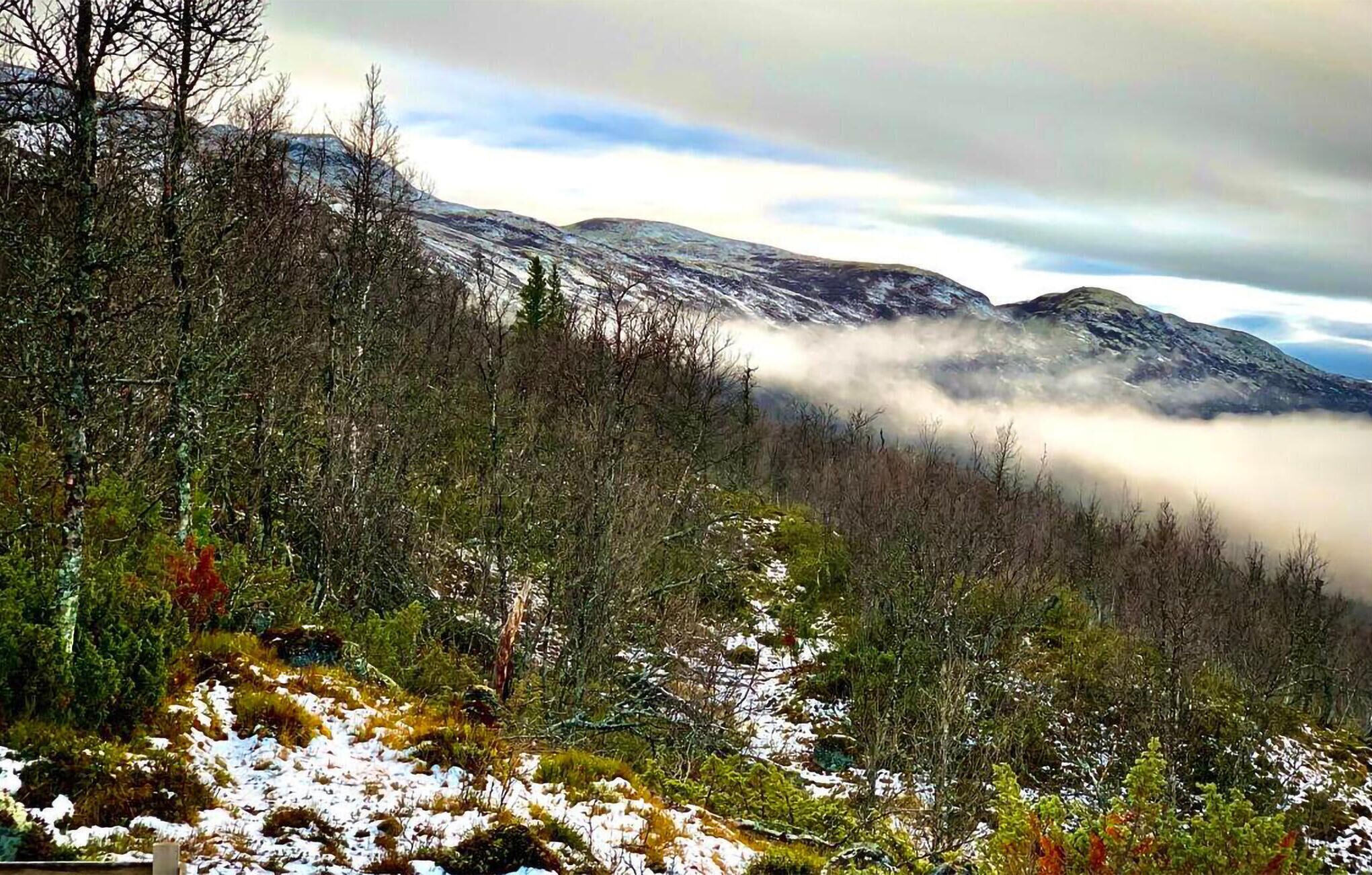 A mountainous landscape with snow-covered ground and trees.
