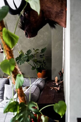 Exclusive penthouse in a rural setting