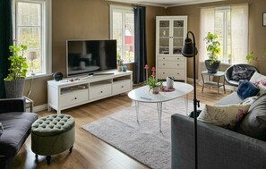 Fernseher