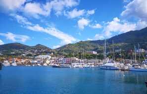Boats bob gently in the marina, surrounded by lush hills and residential buildings.