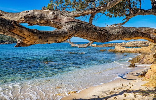 Maison confortable à Coti-Chiavari