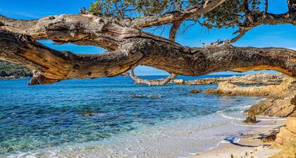 Maison confortable Ă Coti-Chiavari