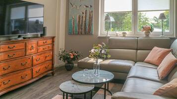 Fernseher, Kamin, DVD-Player