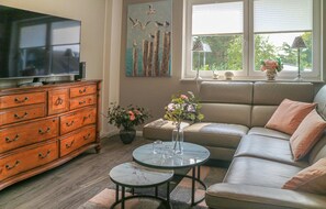 Télévision, cheminée, lecteur de DVD
