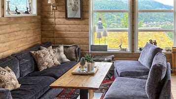 Télévision, cheminée