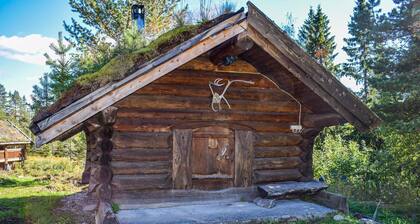 Nice home in Rauland with sauna