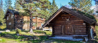 Nice home in Rauland with sauna