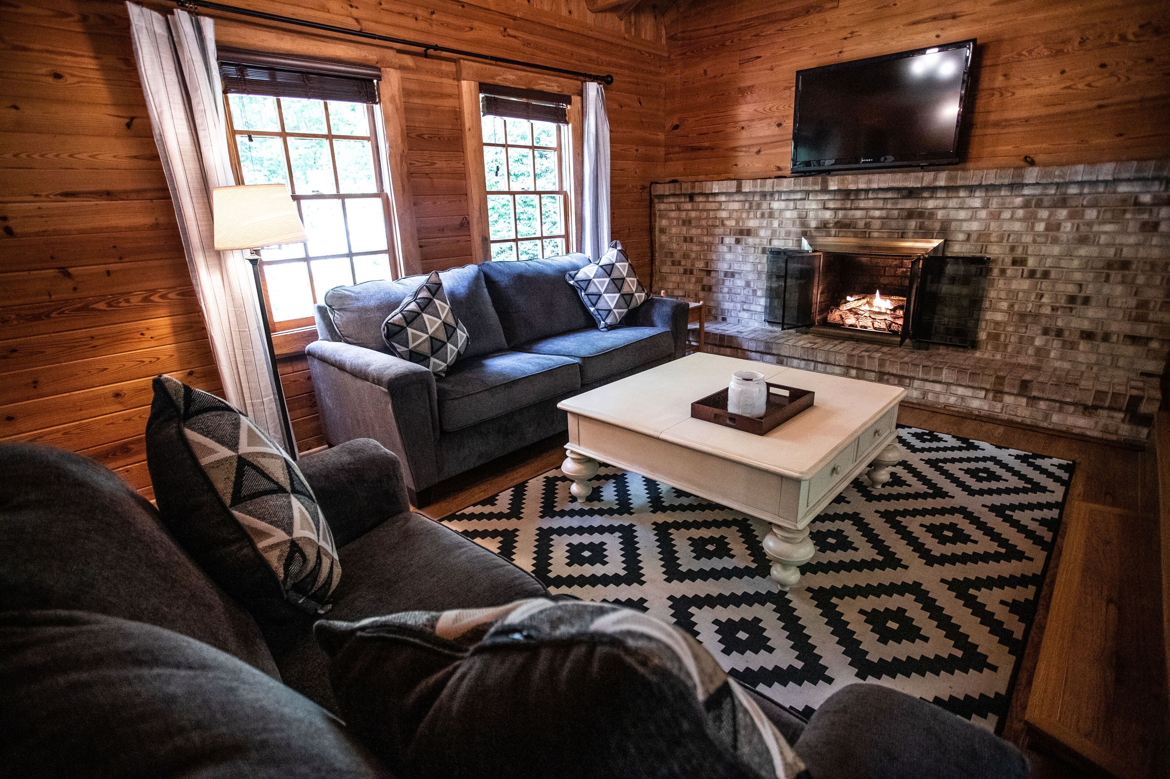 TV, fireplace, books