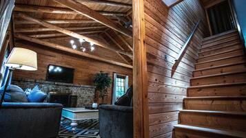 TV, fireplace, books