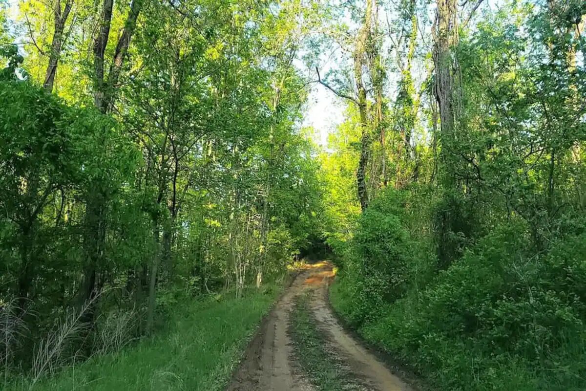 Quiet 2 story Cabin on 32 acres near eleven point river