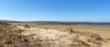 Nära stranden och fiske
