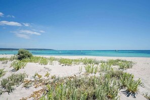 A beach with clear blue water, sandy dunes, and sparse vegetation.