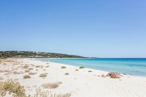 A beach with clear blue water, sandy shore, and sparse vegetation. - Mika Cabin—Breezy Family Haven, Easy Walk to Beach (Eagle Bay)