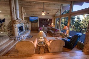 智能电视、壁炉、DVD 播放器、书