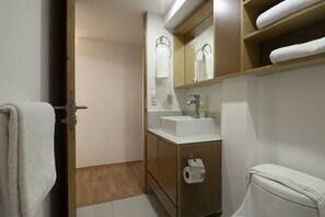 Bathroom features a toilet, sink, and mirror.