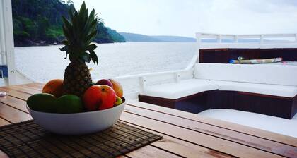 Gorgeous converted fishing vessel in Alter do Chao