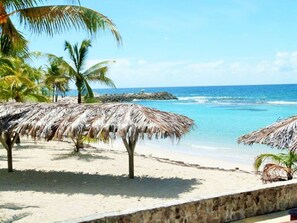 On the beach, sun loungers - Agréable Studio en bord de mer. (Saint François)