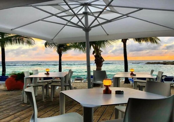 An outdoor seating area with tables and chairs under umbrellas, overlooking the ocean with palm trees and a sunset view.