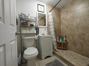 Regadera, secadora de cabello, toallas, jabón 