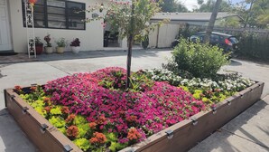 A flower bed with various colorful flowers and a small tree in the center, surrounded by a wooden border. - Queen. Minutes to Wilton drive. Private entrance and bathroom (Wilton Manors)
