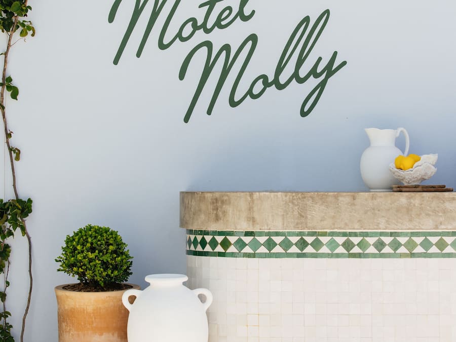 A wall with the text "Motel Molly" in cursive, a white pitcher, a small potted plant, and a tiled counter.