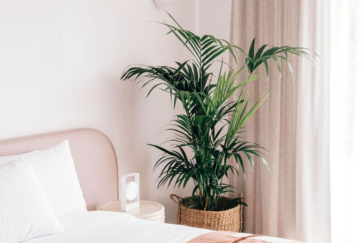 Oceanside Garden Suite | 2 bedrooms, minibar, soundproofing, free WiFi