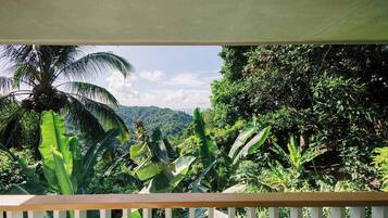 Family Forest View Room | View from room