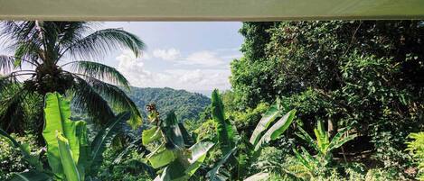 Un balcón con vistas a vegetación exuberante y una cadena montañosa distante.