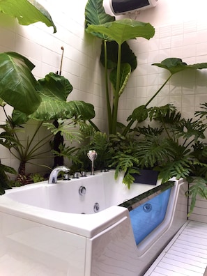 Combined shower/tub, jetted tub, bidet