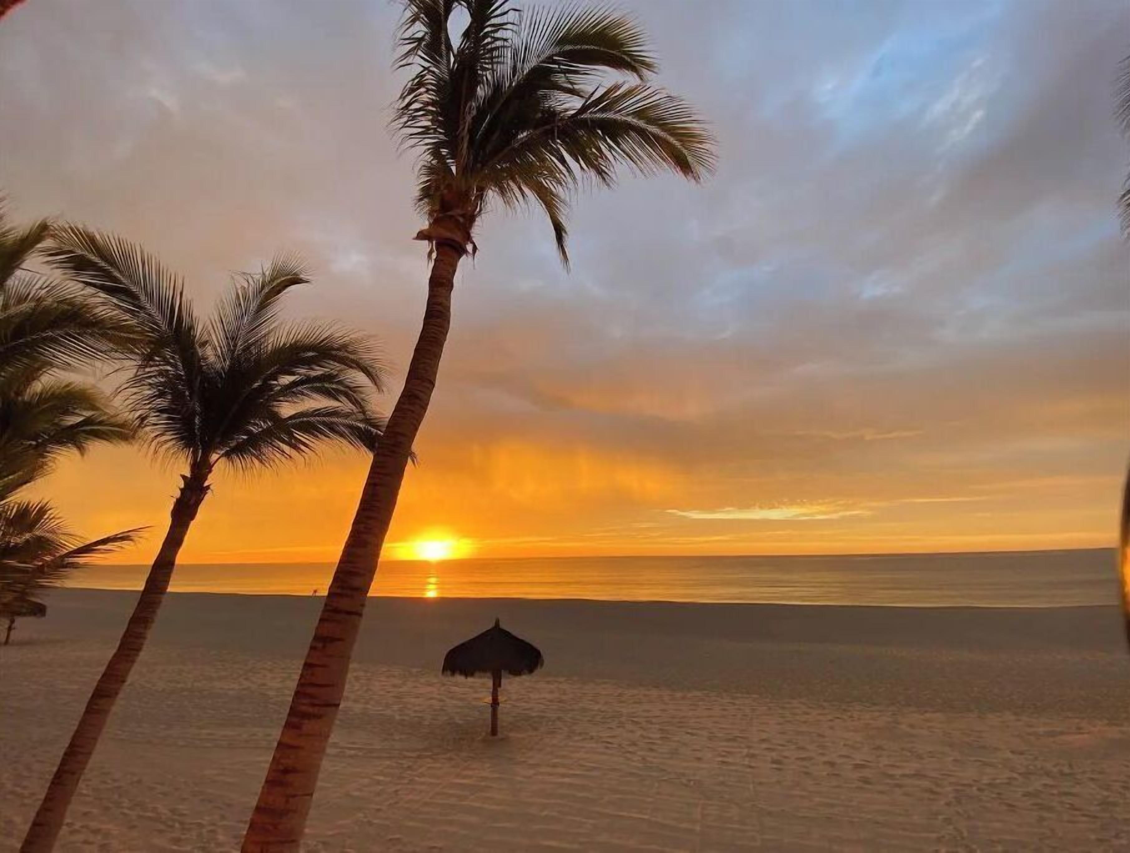 Escena de playa con palmeras y una sombrilla de paja.