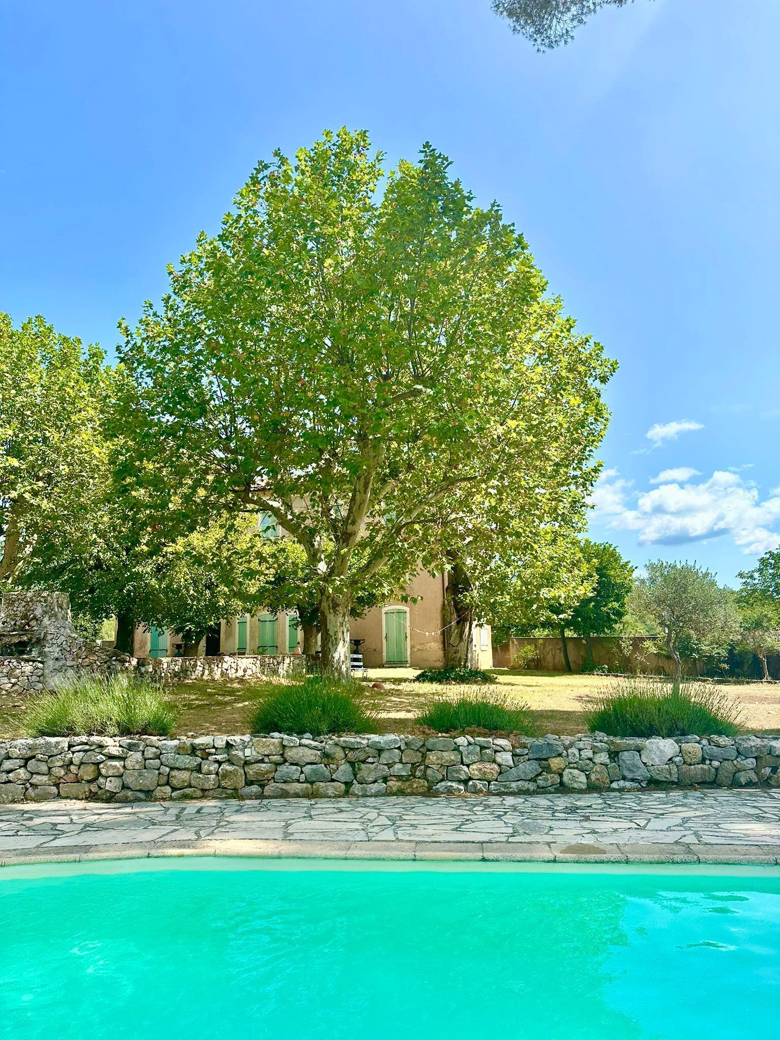 Domaine des Buis