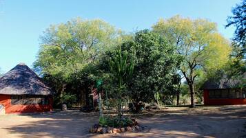 Room, 1 Bedroom, Private Pool, Garden View | Property grounds