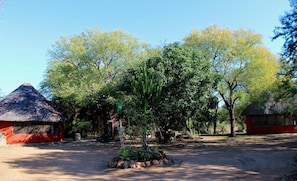 Room, 1 Bedroom, Private Pool, Garden View | Property grounds - Amanzimlotzi Riverside Bush Camp (Hoedspruit)