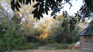A rural road leading to a stone house with a sloped roof, surrounded by dense foliage and a small garden. - Amazing Tree in Lounge Eco Apartment With Leopards Passing by at Night (Hoedspruit)