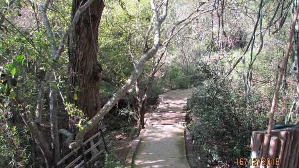 A narrow forest path with a wooden fence on one side and dense foliage on the other. - Two Bedroomed Bush-tent on the Klaserie River, With Free Lion Hyena Sounds (Hoedspruit)