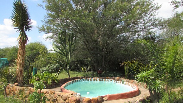 A swimming pool surrounded by a stone wall, with various plants and trees in the background. - 3 bed Bush-tent Under 3 Trees, for Couple Plus Chaperone Free Lionhyena Sounds (Hoedspruit)
